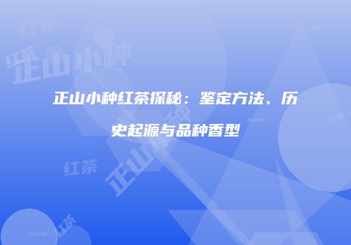 正山小种红茶探秘：鉴定方法、历史起源与品种香型