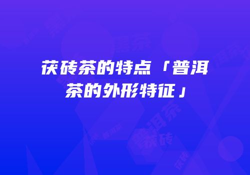 茯砖茶的特点「普洱茶的外形特征」