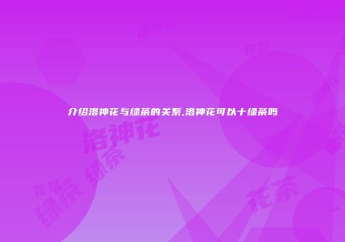介绍洛神花与绿茶的关系,洛神花可以十绿茶吗