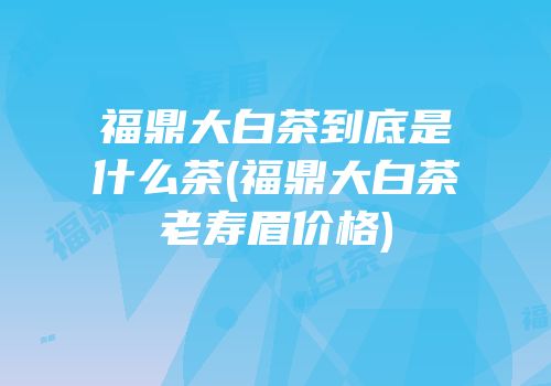 福鼎大白茶到底是什么茶(福鼎大白茶老寿眉价格)