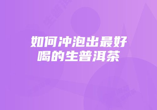 如何冲泡出最好喝的生普洱茶