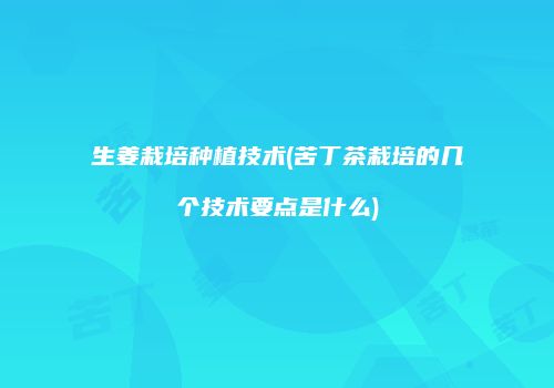 生姜栽培种植技术(苦丁茶栽培的几个技术要点是什么)