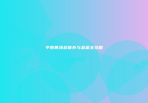 平阳黄汤茶保存与品鉴全攻略