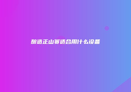 酿造正山赛适合用什么设备