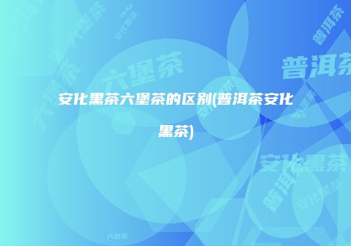 安化黑茶六堡茶的区别(普洱茶安化黑茶)