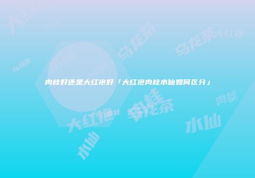 肉桂好还是大红袍好「大红袍肉桂水仙如何区分」