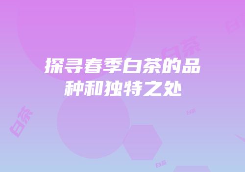 探寻春季白茶的品种和独特之处