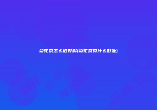 菊花茶怎么泡好喝(菊花茶有什么好处)