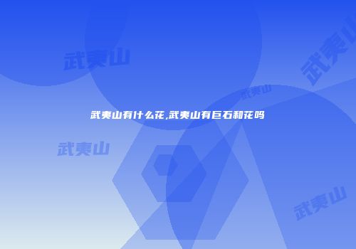 武夷山有什么花,武夷山有巨石和花吗
