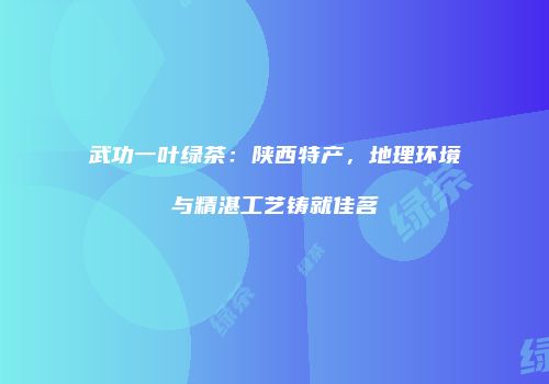 武功一叶绿茶：陕西特产，地理环境与精湛工艺铸就佳茗
