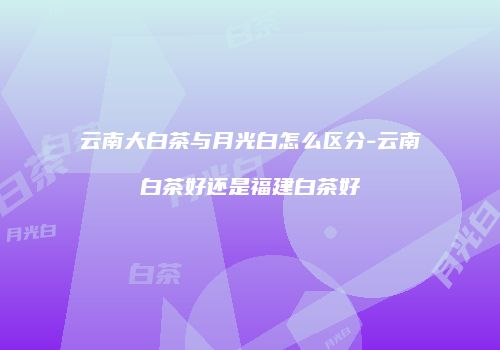 云南大白茶与月光白怎么区分-云南白茶好还是福建白茶好