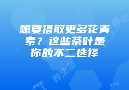 想要摄取更多花青素？这些茶叶是你的不二选择