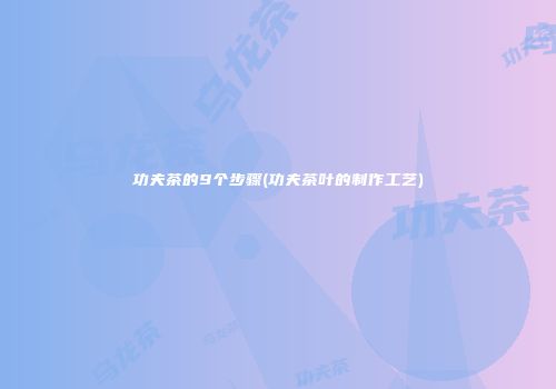 功夫茶的9个步骤(功夫茶叶的制作工艺)