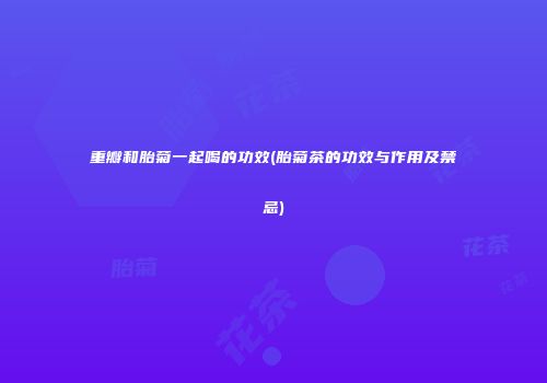 重瓣和胎菊一起喝的功效(胎菊茶的功效与作用及禁忌)