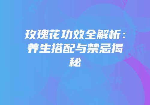 玫瑰花功效全解析：养生搭配与禁忌揭秘