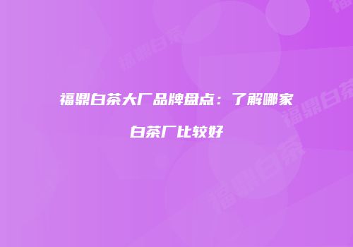 福鼎白茶大厂品牌盘点：了解哪家白茶厂比较好