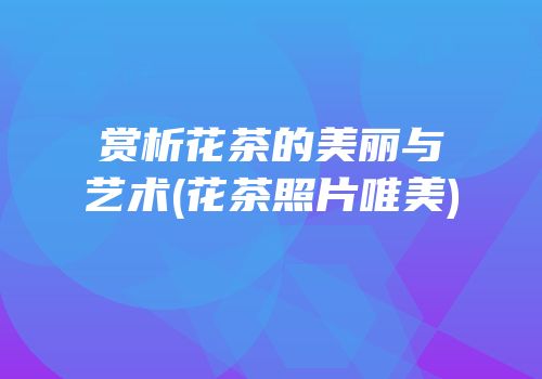 赏析花茶的美丽与艺术(花茶照片唯美)