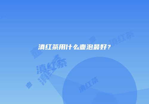 滇红茶用什么壶泡最好？
