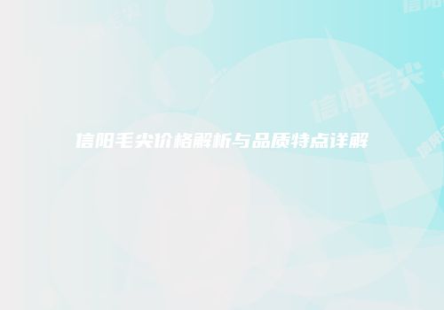信阳毛尖价格解析与品质特点详解