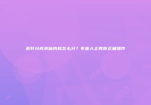 茶叶分成水仙肉桂怎么分？专业人士教你正确操作