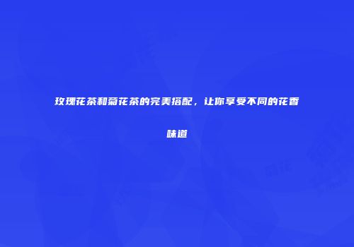玫瑰花茶和菊花茶的完美搭配，让你享受不同的花香味道