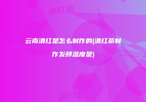 云南滇红是怎么制作的(滇红茶制作发酵温度是)