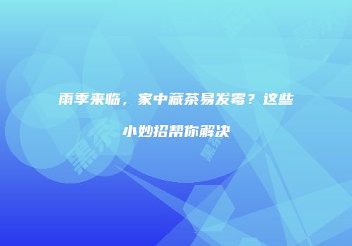 雨季来临，家中藏茶易发霉？这些小妙招帮你解决