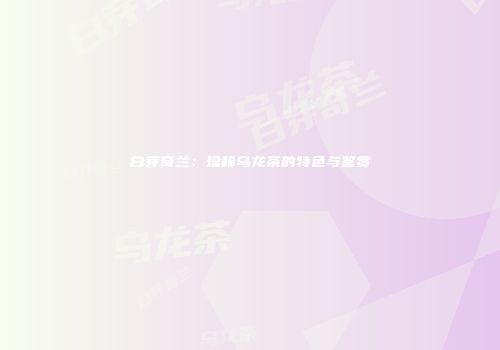 白芽奇兰：珍稀乌龙茶的特色与鉴赏