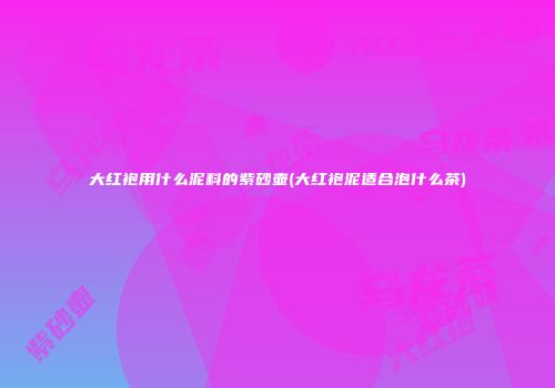 大红袍用什么泥料的紫砂壶(大红袍泥适合泡什么茶)