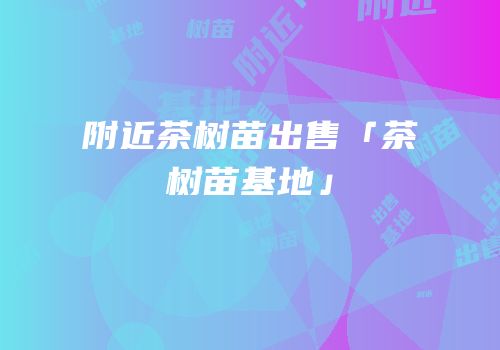 附近茶树苗出售「茶树苗基地」
