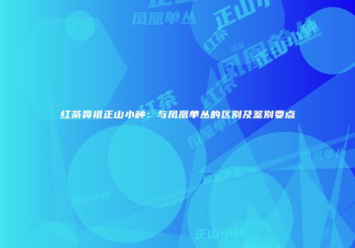 红茶鼻祖正山小种：与凤凰单丛的区别及鉴别要点