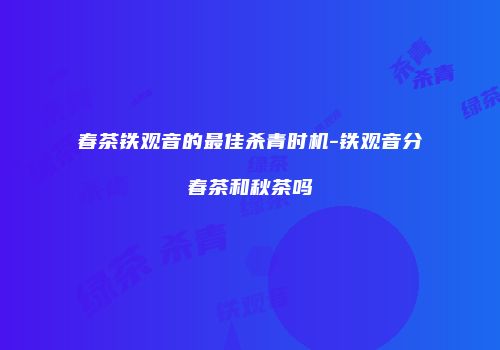 春茶铁观音的最佳杀青时机-铁观音分春茶和秋茶吗