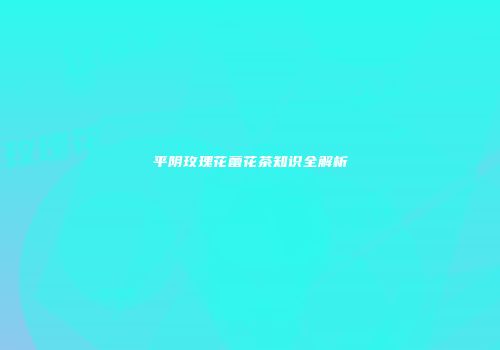 平阴玫瑰花蕾花茶知识全解析