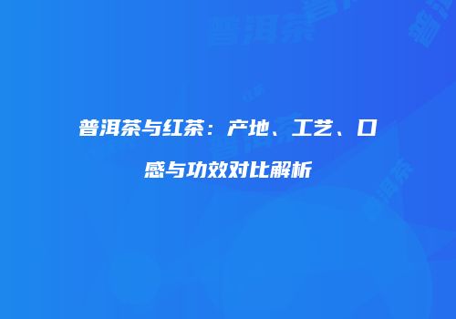 普洱茶与红茶：产地、工艺、口感与功效对比解析