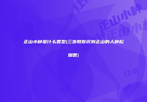 正山小种是什么香型(三步教你识别正山的人种松烟香)