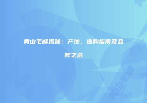 黄山毛峰揭秘：产地、选购指南及品牌之选