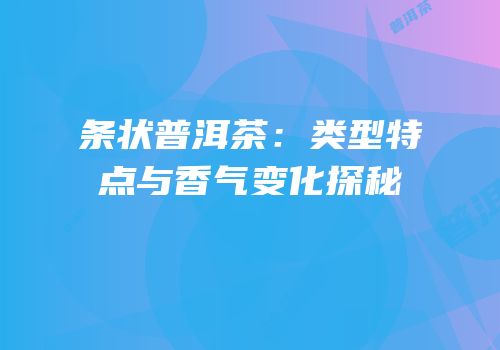 条状普洱茶：类型特点与香气变化探秘