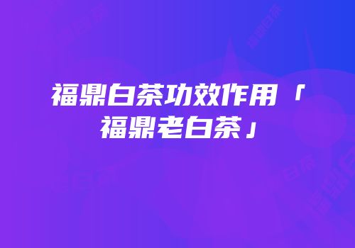 福鼎白茶功效作用「福鼎老白茶」