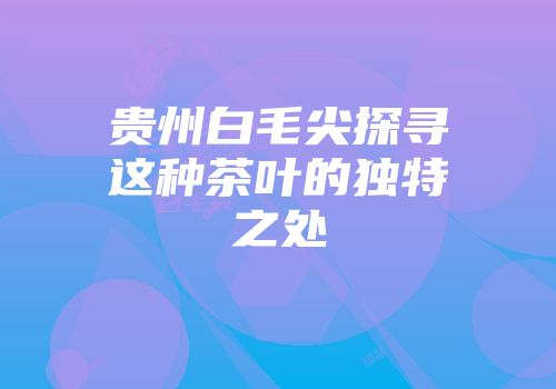贵州白毛尖探寻这种茶叶的独特之处