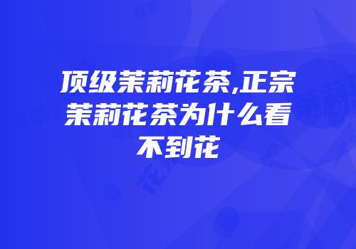顶级茉莉花茶,正宗茉莉花茶为什么看不到花
