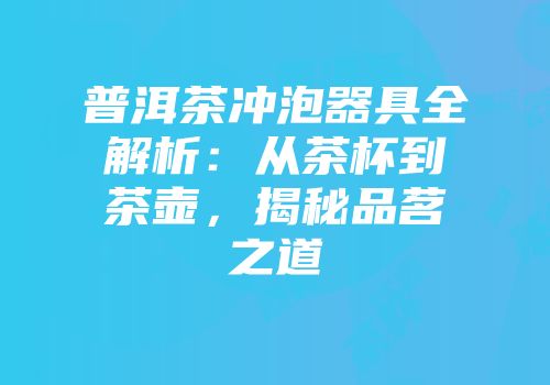 普洱茶冲泡器具全解析：从茶杯到茶壶，揭秘品茗之道