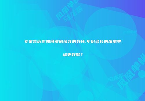 专家告诉你如何辨别茶叶的好坏,年份多长的凤凰单枞更好喝？