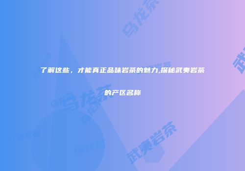 了解这些，才能真正品味岩茶的魅力,探秘武夷岩茶的产区名称