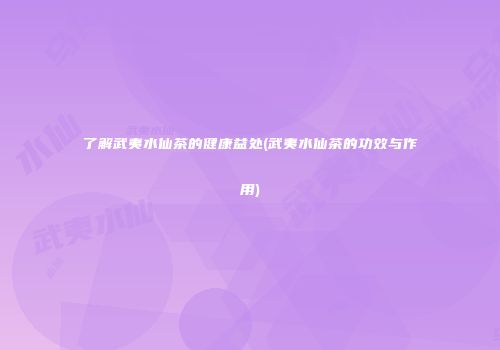 了解武夷水仙茶的健康益处(武夷水仙茶的功效与作用)