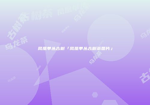 凤凰单丛古树「凤凰单丛古树茶图片」