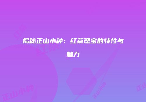 揭秘正山小种：红茶瑰宝的特性与魅力