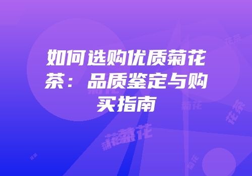 如何选购优质菊花茶：品质鉴定与购买指南