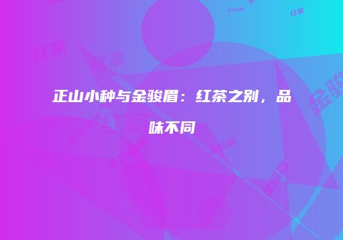 正山小种与金骏眉：红茶之别，品味不同
