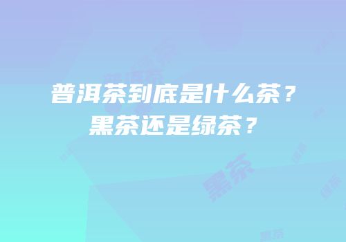 普洱茶到底是什么茶？黑茶还是绿茶？