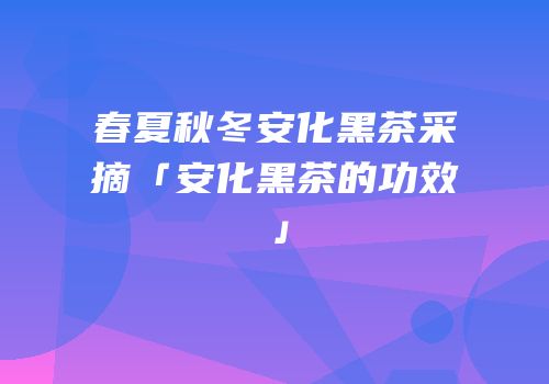 春夏秋冬安化黑茶采摘「安化黑茶的功效」
